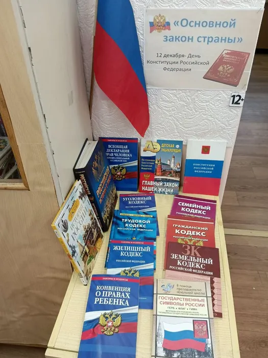 КОНСТИТУЦИЯ ВЫСТ