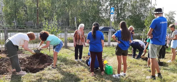 библиотекари сажают