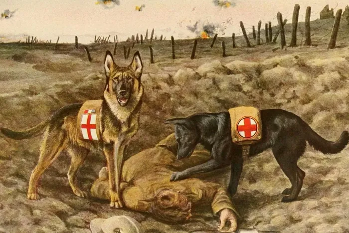 «Сила преданности: животные в боевом строю» в Библиотеке для детей и молодежи