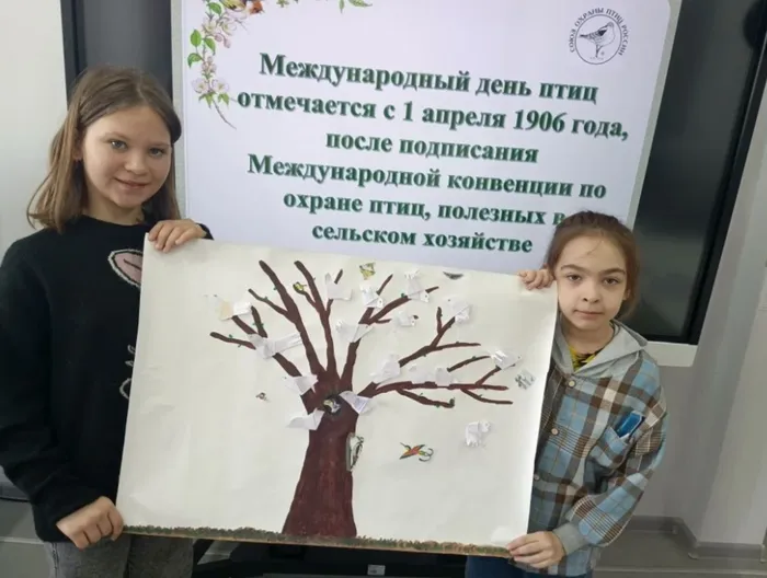 Познавательная игра «Птичий футбол» с Библиотекой п. Третий Северный