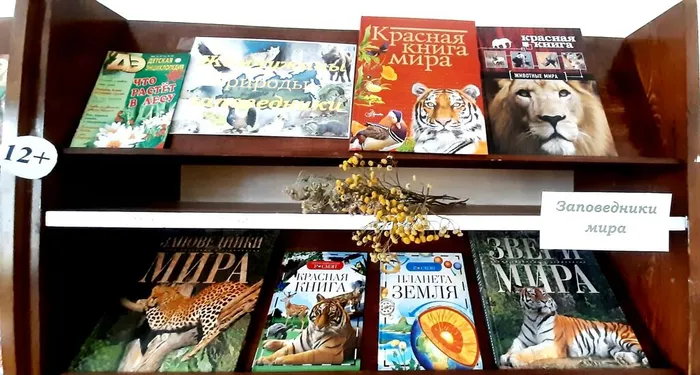 Мы начинаем НОВЫЙ ГОД.