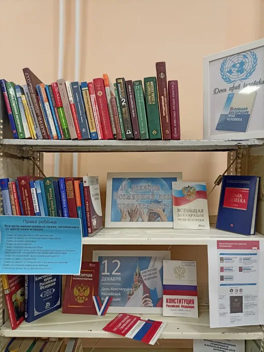 WhatsApp Image 2024-12-06 at 16.34.56