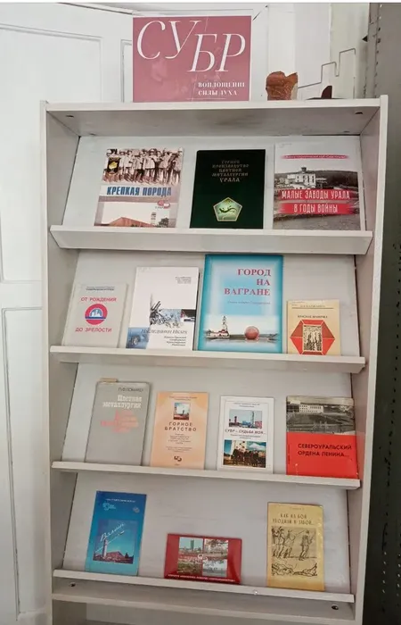Книжная выставка «СУБР — воплощение силы духа»  в Центральной городской библиотеке им. А. Н. Арцибашева