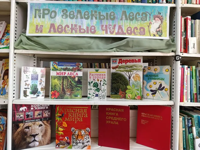 Эко - выставка «Про зелёные леса и лесные чудеса» в Библиотеке для детей и молодежи