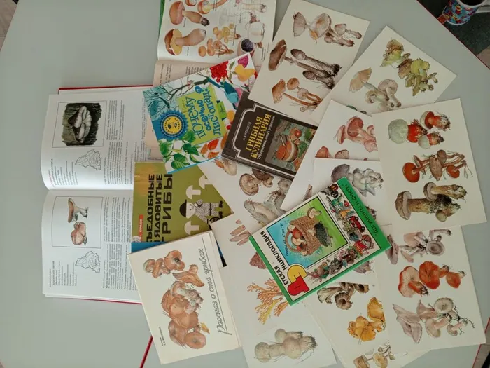 Грибной день с Библиотекой для детей и молодежи