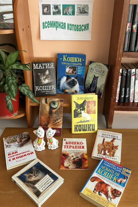 Выставка-удивление «Всемирная котовасия!»