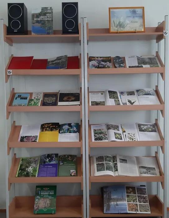 Выставка литературы