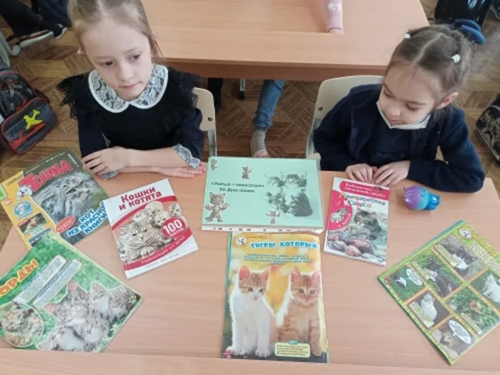 Переносная выставка