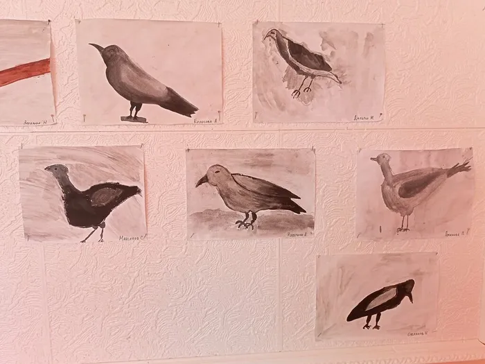 выставка рисунков