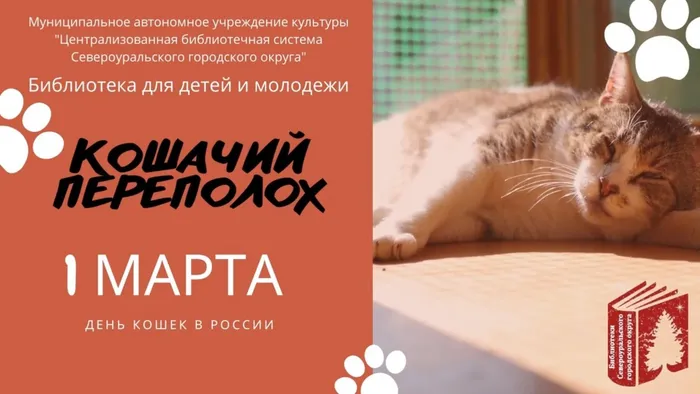 1 марта - день кошек