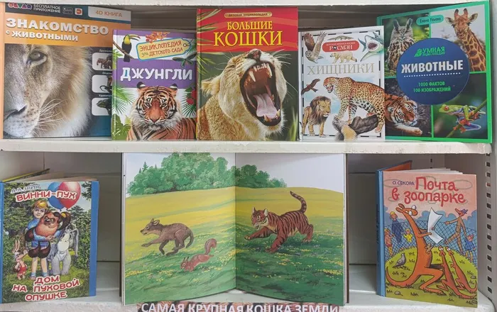 Книжная выставка «Тигриный след в литературе» в Библиотеке для детей и молодежи