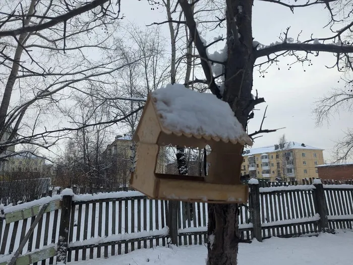 12 ноября - Синичкин день!