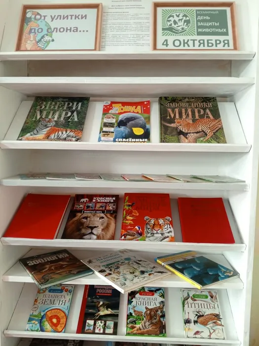 День защиты животных с Библиотекой для детей и молодежи (ул. Октябрьская, 29)