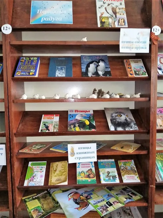 Экоурок «Путешествие в Пицеград»