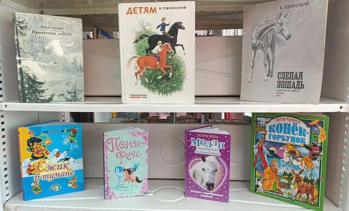 Книжная выставка «Ветер в гриве» в Библиотеке для детей и молодежи.