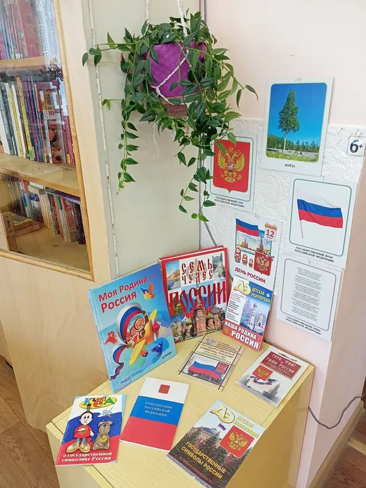 выставка 12 июня в Библиотеке п.                 Третий Северный