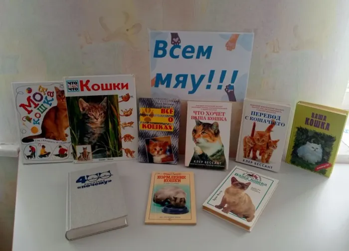 Бдим Всем МЯУ!