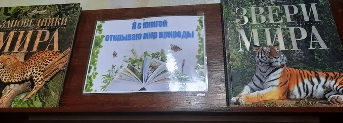 Книжная выставка