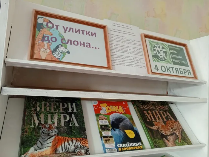 День защиты животных с Библиотекой для детей и молодежи (ул. Октябрьская, 29)