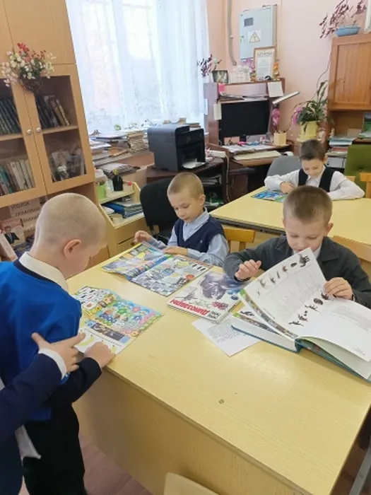 рассматривают книги