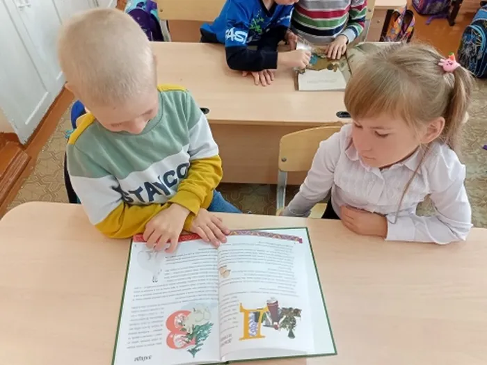 рассматривают книги