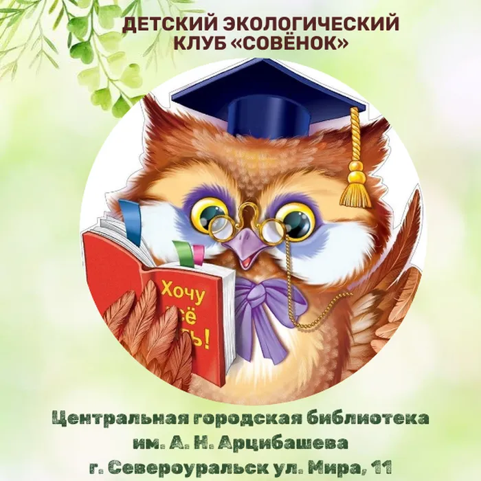 Совенок