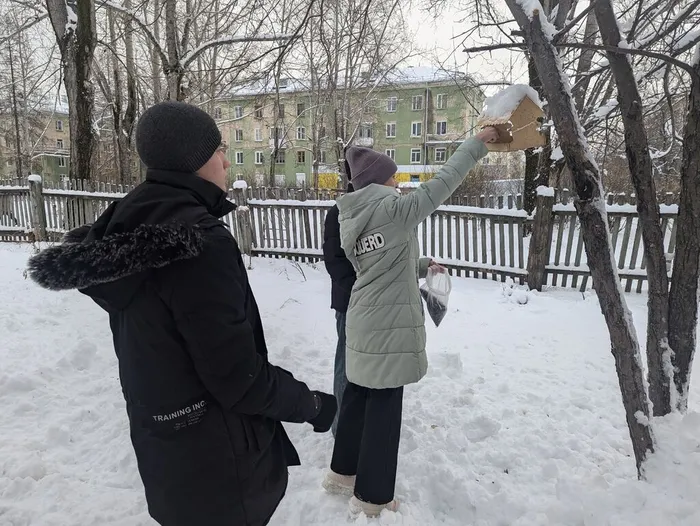 12 ноября - Синичкин день!