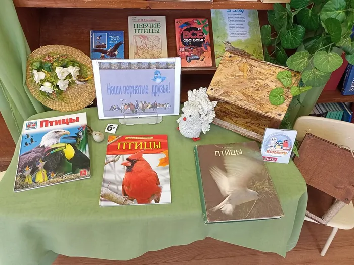 эко выставка