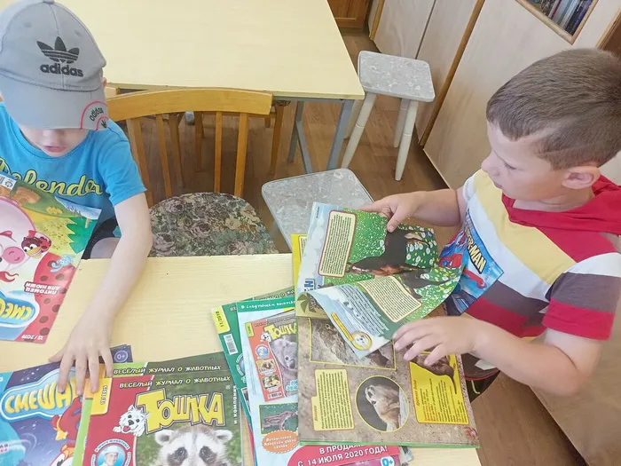 знакомство с журналами