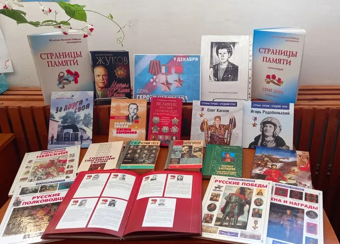 В библиотеке пос. Баяновка  представлена книжная выставка "День героев Отечества".
