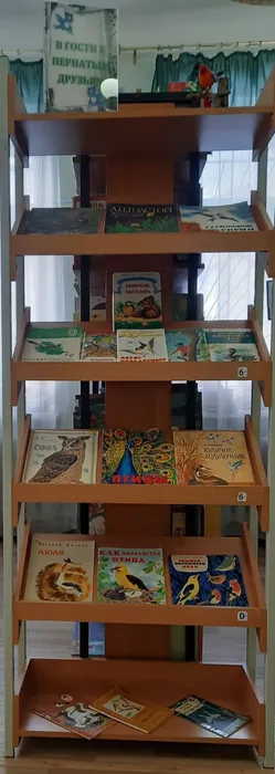 WhatsApp Image 2025-01-24 at 14.01.36