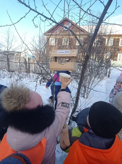 кормим птичек