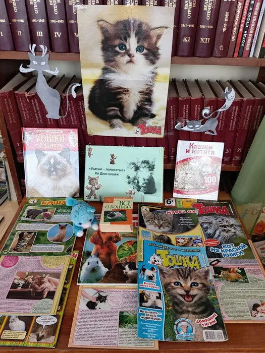 выставка 1 марта