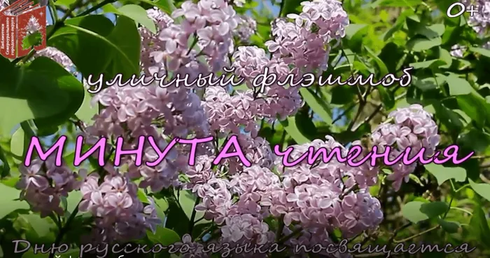 Минута чтения