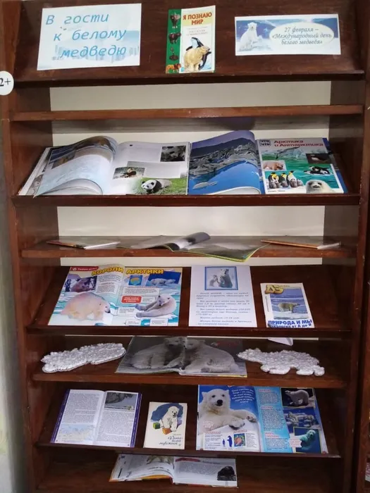 Книжная Выставка