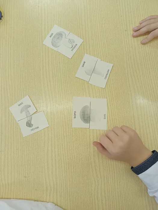 в лес по грибы