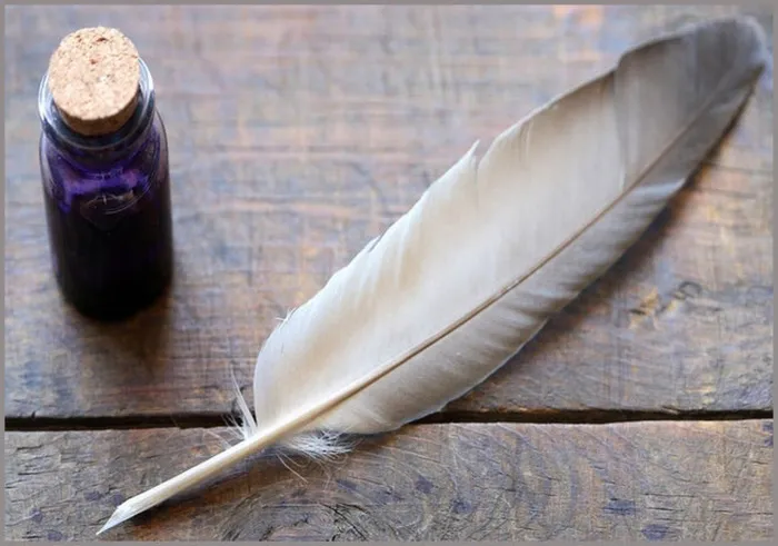 История пера. Картинка