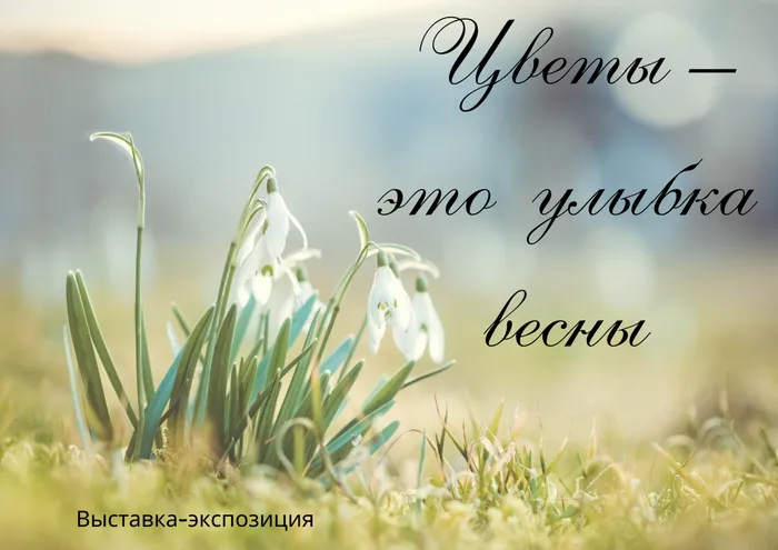 первоцветы, выставка