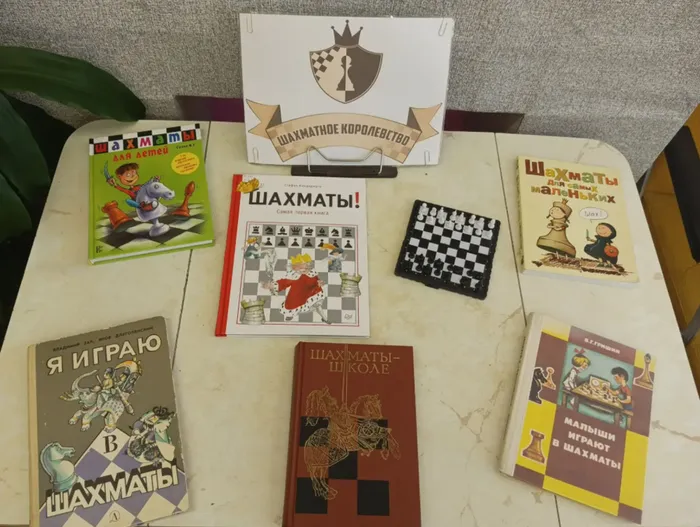 шахматы
