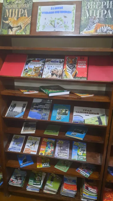 Книжная выставка