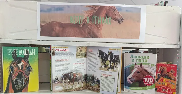 Книжная выставка «Ветер в гриве» в Библиотеке для детей и молодежи.