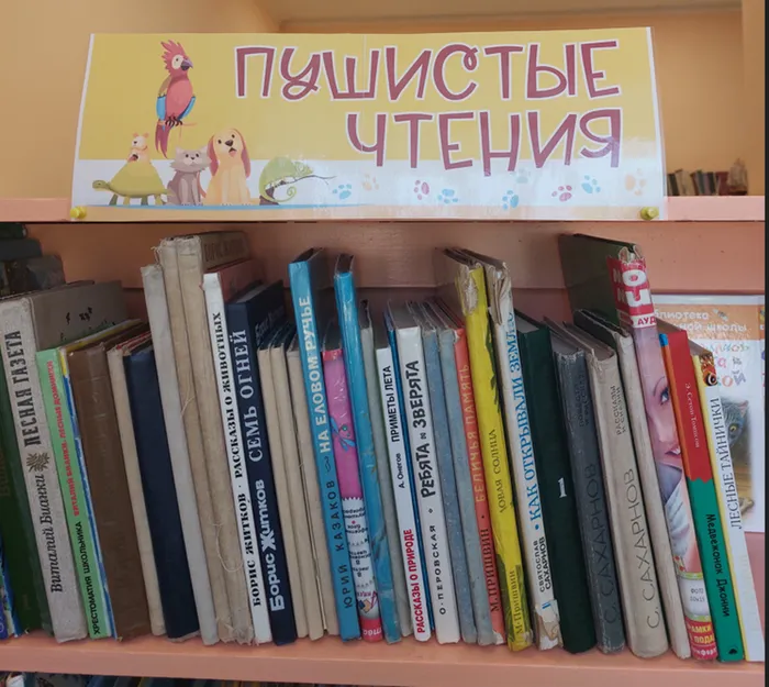 Литературное путешествие «Двери в сказку»