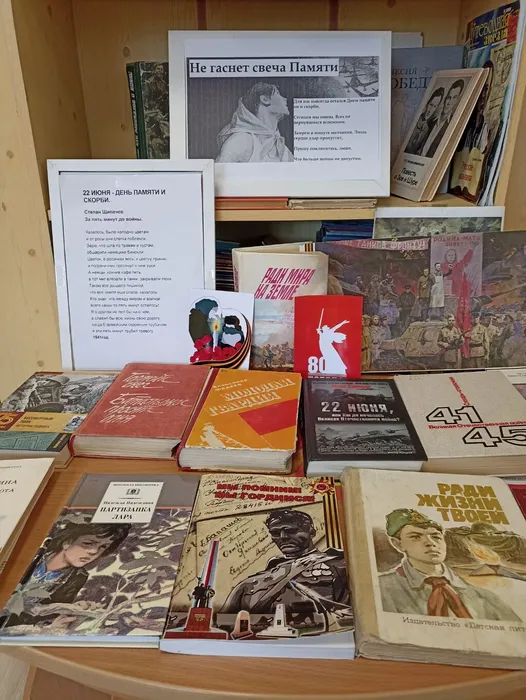 Выставка - просмотр «Не гаснет свеча Памяти»