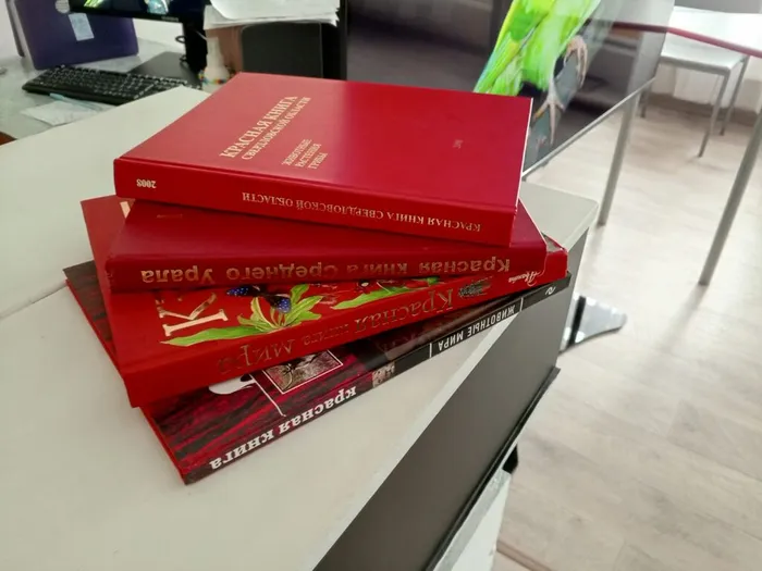 День защиты животных с Библиотекой для детей и молодежи (ул. Октябрьская, 29)