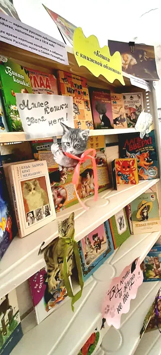 Книжная выставка&nbsp; «Кошки с книжной обложки»