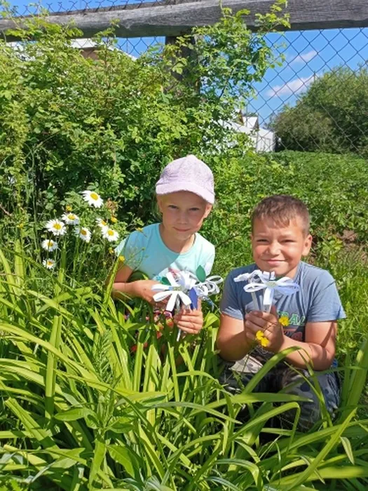 фото с ромашками