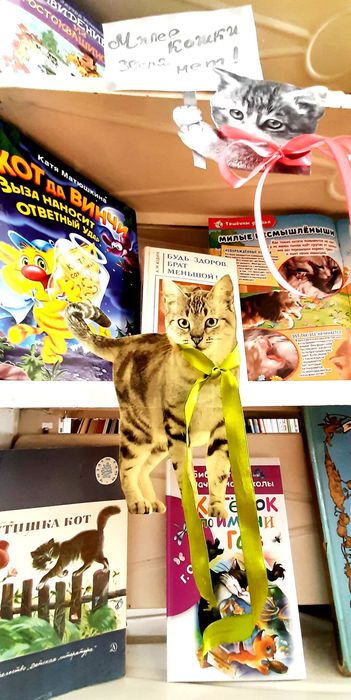Книжная выставка  «Кошки с книжной обложки»